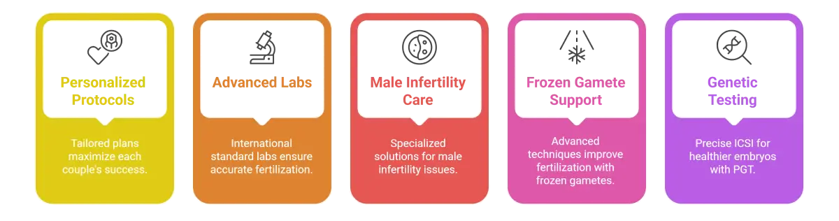 Intracytoplasmic Sperm Injection (ICSI)