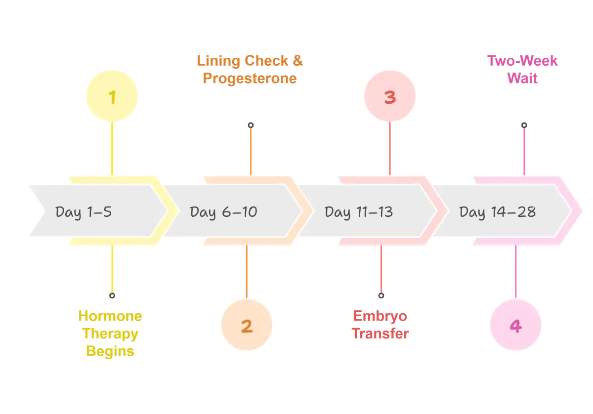 Frozen Embryo Transfer (FET)